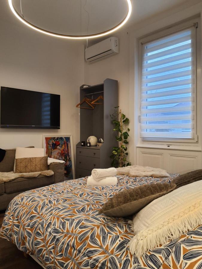 Hote Stephanois Studio, Parking& Borne Electrique Saint-Etienne  Ngoại thất bức ảnh