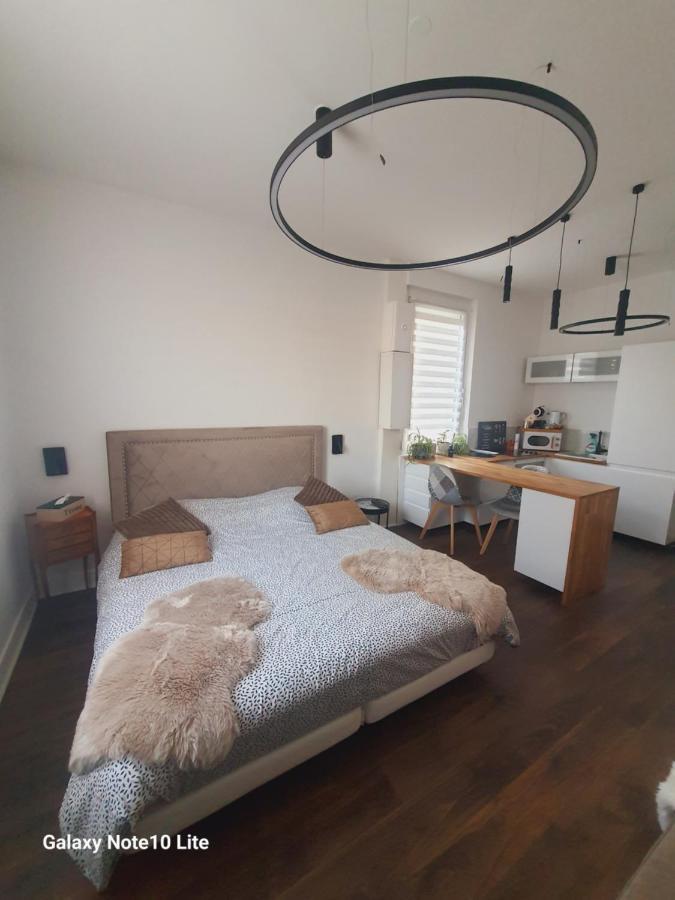 Hote Stephanois Studio, Parking& Borne Electrique Saint-Etienne  Ngoại thất bức ảnh