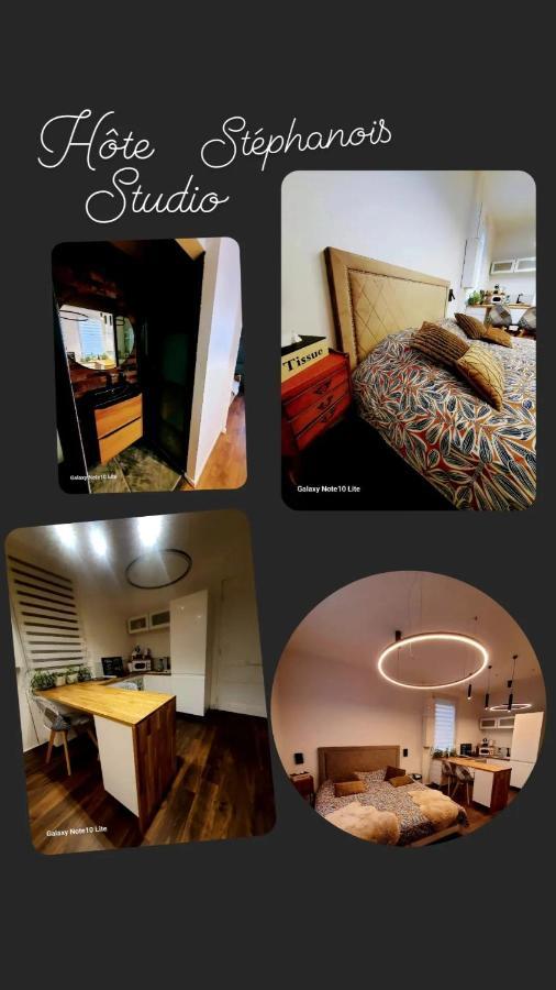 Hote Stephanois Studio, Parking& Borne Electrique Saint-Etienne  Ngoại thất bức ảnh