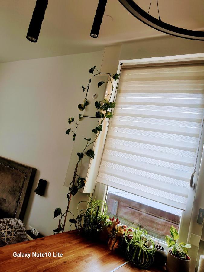 Hote Stephanois Studio, Parking& Borne Electrique Saint-Etienne  Ngoại thất bức ảnh